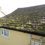 Heavy Moss on Roof